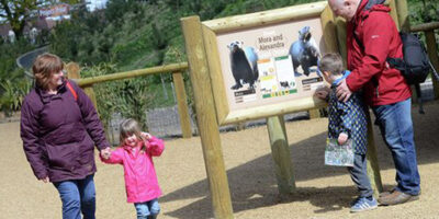 Yorkshire Wildlife Park Gears Up To Reopen As Government Allows Zoos To Open