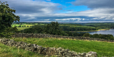 Applications Open For Young Farmer Opportunities In Yorkshire