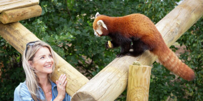 Helen Skelton Is Enchanted By Yorkshire Wildlife Park’s New Red Pandas