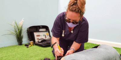 Vet Nurse & Hydrotherapist Named As Finalist In The Animal Start Awards