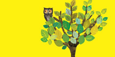 Wow! Said The Owl Inspires New East Riding Museums Webpage