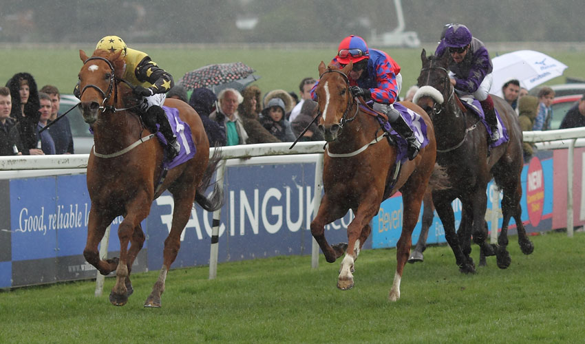 Lots of the jockeys and trainers mentioned here have become accustomed to seeing their horses romp home to victory on the Beverley Westwood flats