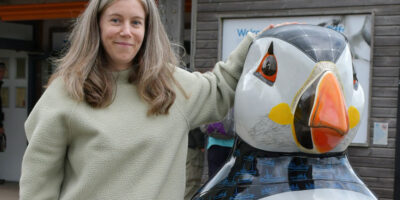 First Puffins Unveiled As Part Of East Yorkshire Animal Sculpture Trail
