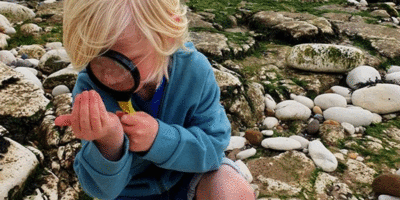 Beach Events To Accompany Wildlife Photographer Of The Year Exhibition