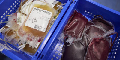 More Than 2,300 New Blood Donors Are Needed Locally To Meet Demand