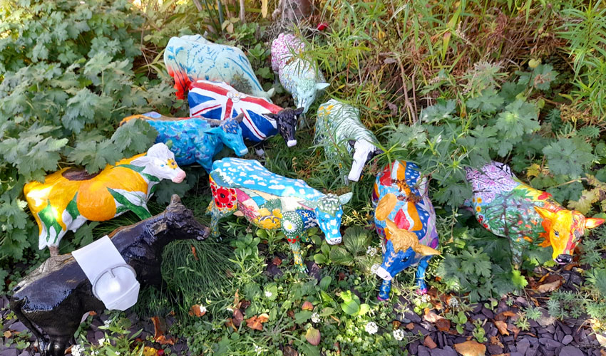 The Beverley Herd Nine Hand-Painted Cow Statues To Be Auctioned Off