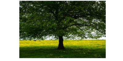 Photography Workshop And Practical Session By Nigel Walker