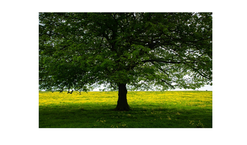 Photography Workshop And Practical Session By Nigel Walker