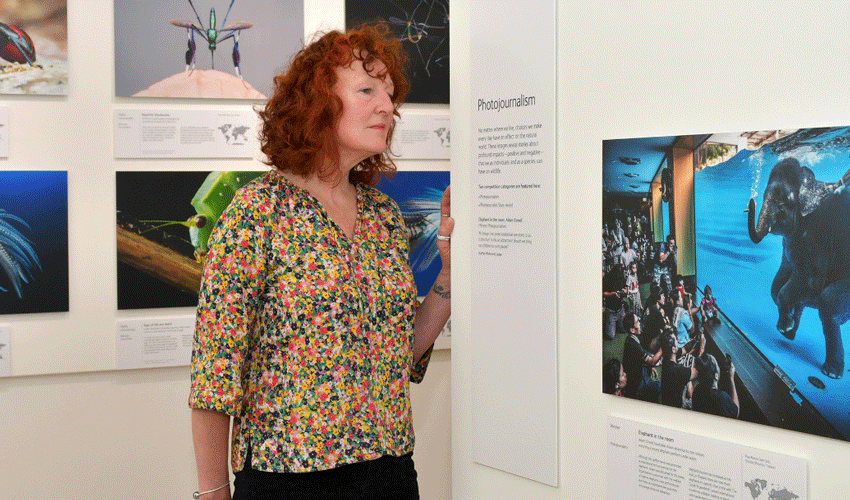 Wildlife Photographer Of The Year Exhibition Drawing The Crowds To Sewerby Hall And Gardens