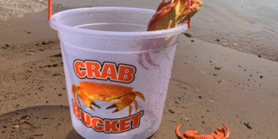 Bridlington Will Host A New Crab Chase Event In September