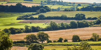 Webinar For Local Stakeholders Interested In The Rural England Prosperity Fund