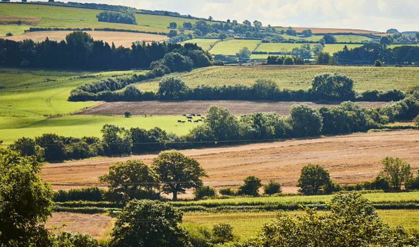 Webinar For Local Stakeholders Interested In The Rural England Prosperity Fund
