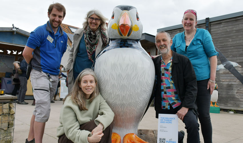 Puffins Galore Trail To Remain In Place Until Easter 2023