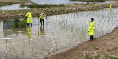 A Local Housebuilder Donates £1,000 To Yorkshire Wildlife Trust