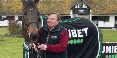 Horses Not To Miss At Cheltenham