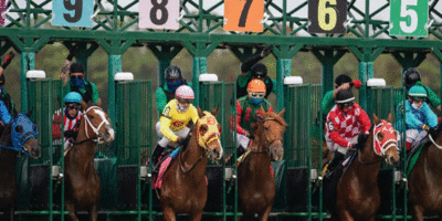 Top American Horse Racing Events to Look Out for Every Year