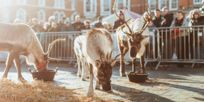 Beverley Will Host Five Days Of Christmas Markets