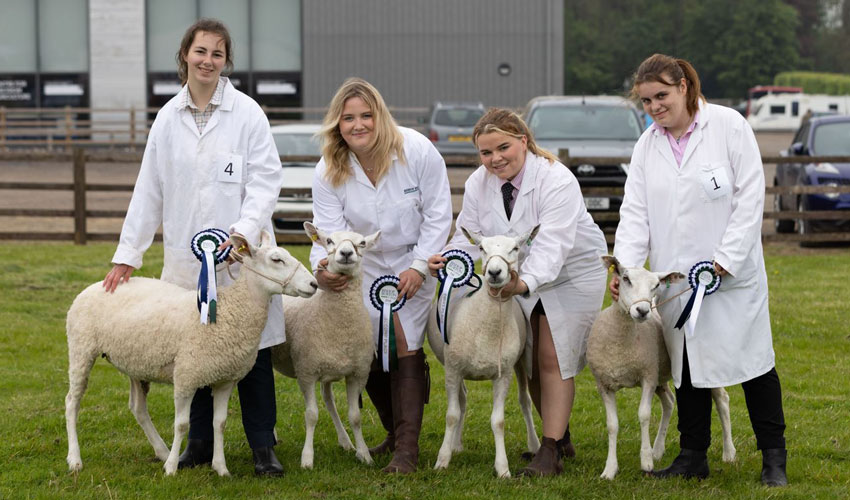 Stock Skills Competition Showcases Specialist Skills At Bishop Burton College