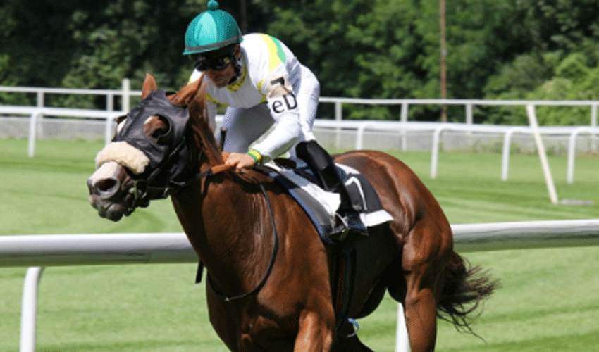 Crowley and Whelan Hospitalised After Heavy Falls at York