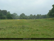 Beverley Westwood