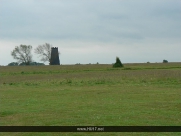 Beverley Westwood