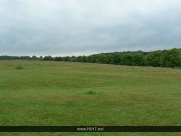 Beverley Westwood