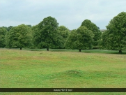 Beverley Westwood