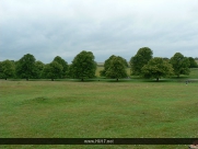 Beverley Westwood